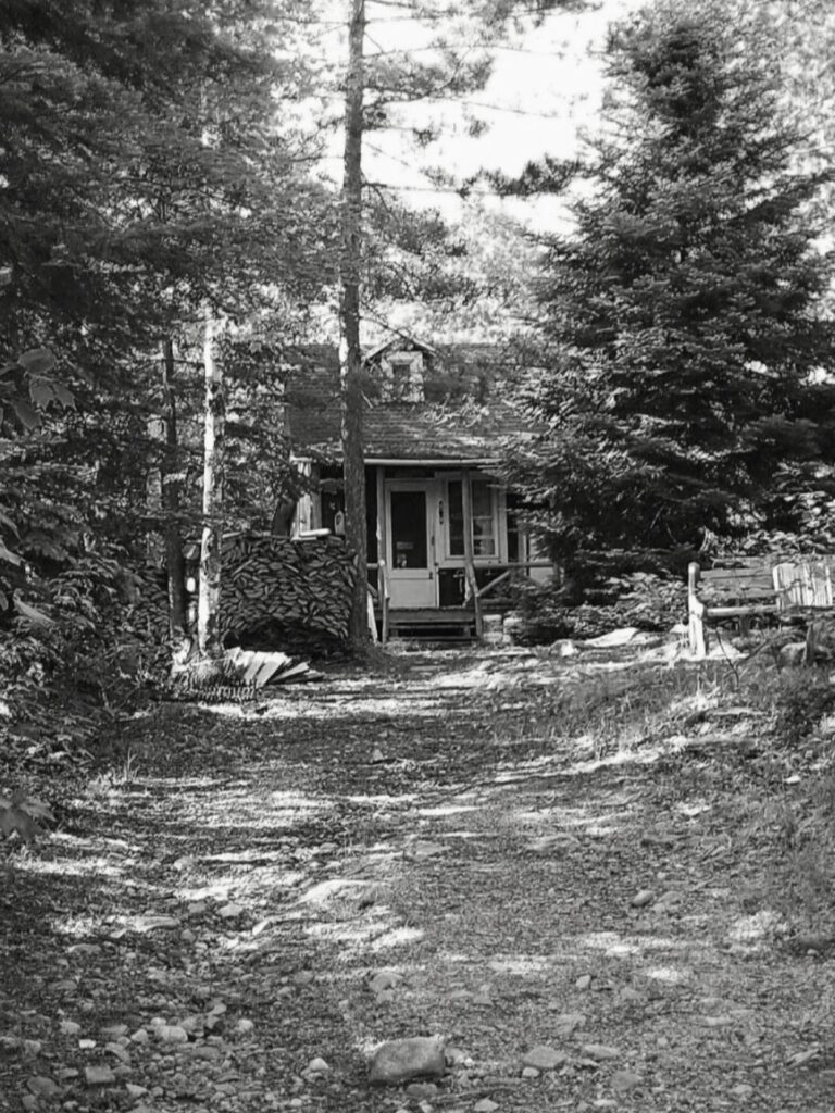 house in the forest old chalet